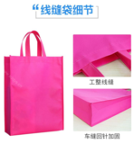 无纺布袋 (1)